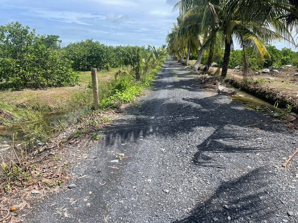 Đất vườn 1.500m² tại Ấp 6 Bình Đức, Bến Lức - Cơ hội đầu tư lý tưởng!