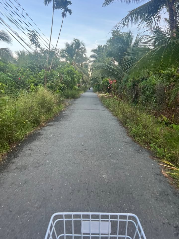 Đất nền mặt tiền đường nhựa 520m² xã Vang Quới Đông - Giá chỉ 4.42 tỷ