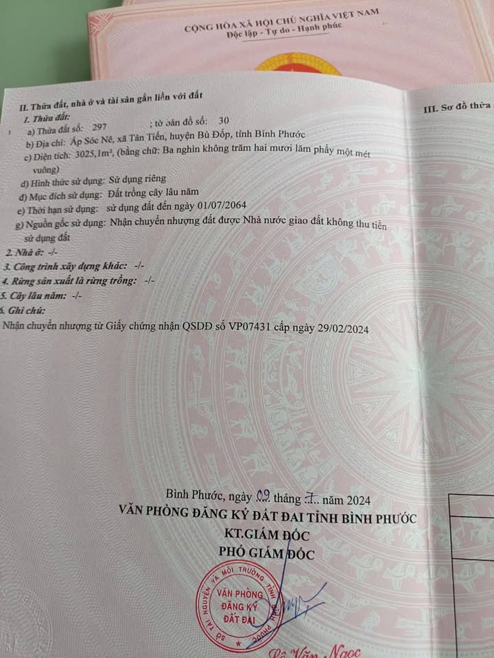 Đất nền 3.000m² tại ấp Sóc Nê, Bù Đốp - Cơ hội đầu tư giá tốt!