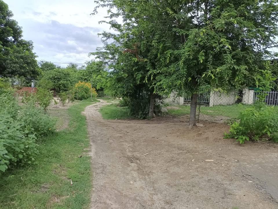 Đất vườn Mỹ Sơn Khánh Hòa 10,500m² giá 2 tỷ - Đầu tư sinh lời ngay!