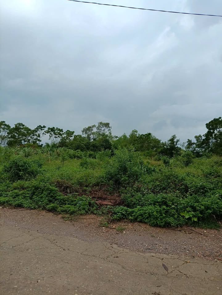 Đất nền đẹp tại phường Yên Sơn, Tam Điệp 100m² - Gần chợ Vĩnh Khương!