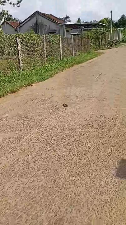 Đất thổ cư Sơn Thành Đông, Tây Hòa 150m² giá 679 triệu - Tiềm năng kinh doanh vượt trội!