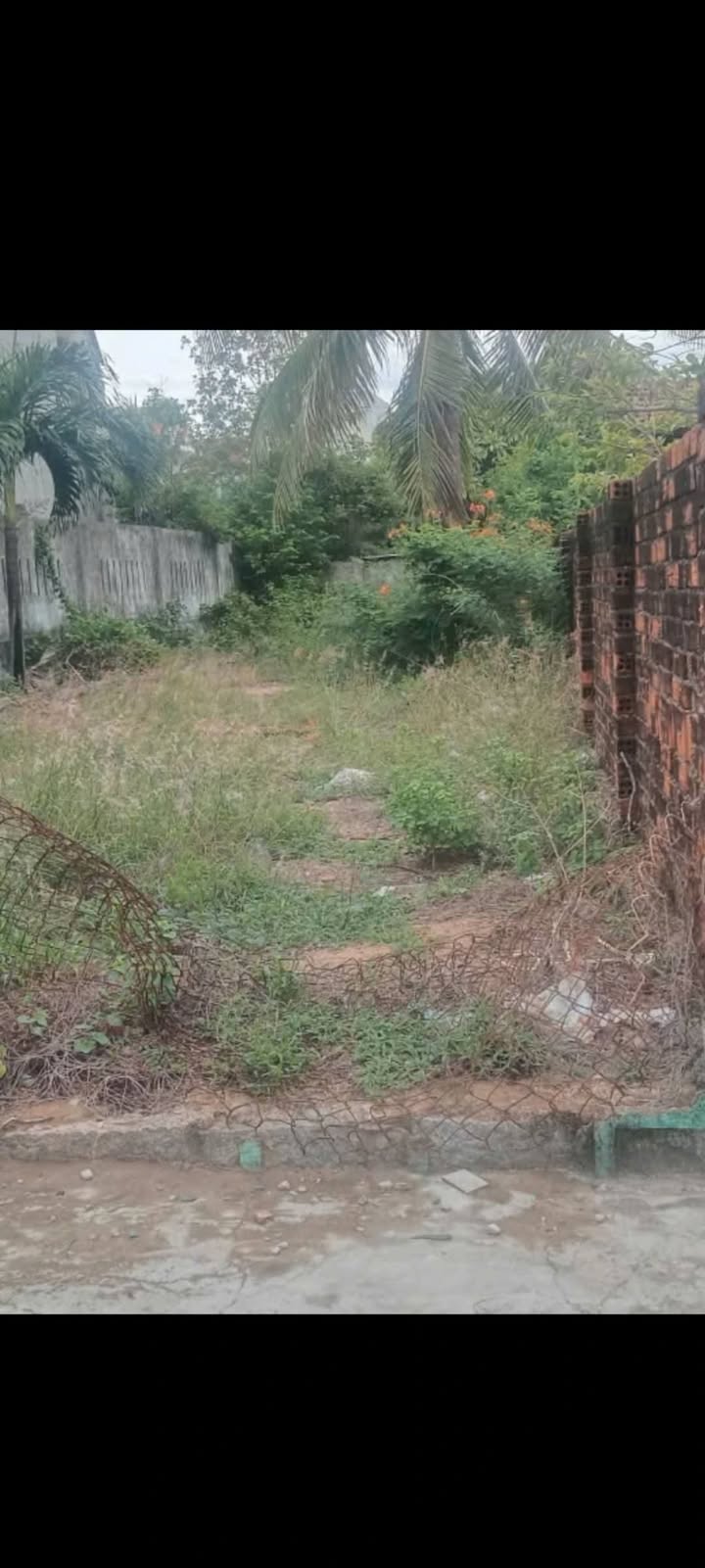 Đất nền Phú Đông 156.2m² giá 630 triệu - Sổ đỏ chính chủ!