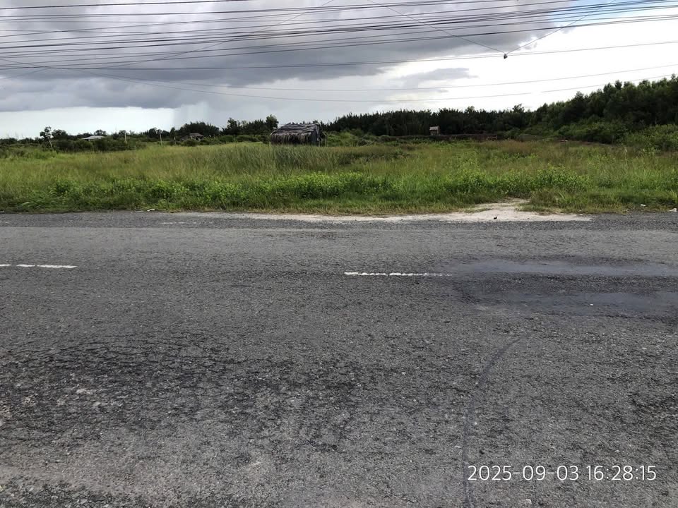 Đất mặt tiền Ấp Giồng Ổi, xã Long Toàn, 2300m² giá 120 triệu - Cơ hội đầu tư tuyệt vời!