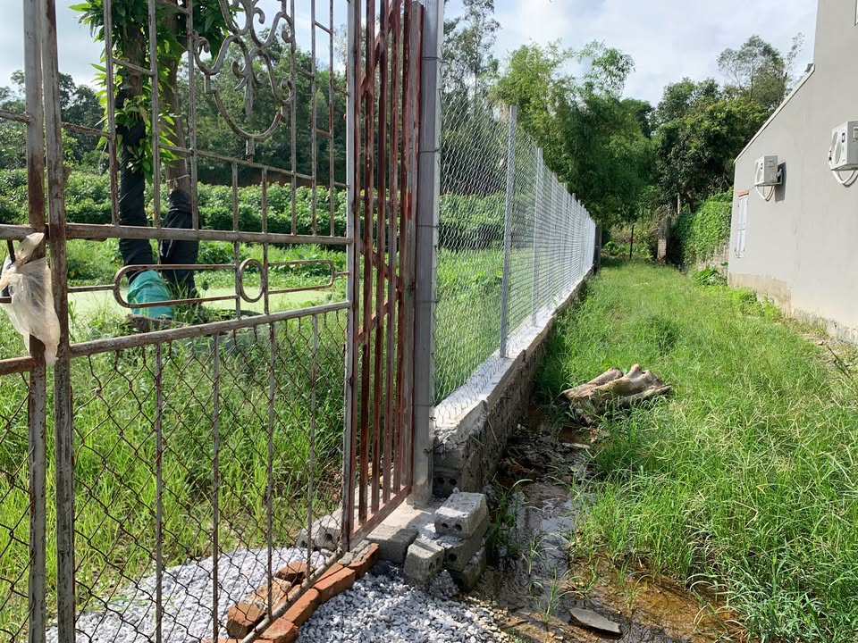 Đất nền Tân Minh 980m² giá chỉ 2.35 tỷ - Cơ hội đầu tư tuyệt vời!