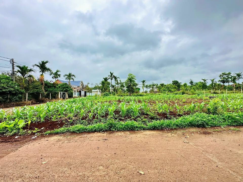 Đất nền góc 2 mặt tiền đường 10KC, phường Tân An, 135m² giá chỉ 7 tỷ - Cơ hội đầu tư vàng!