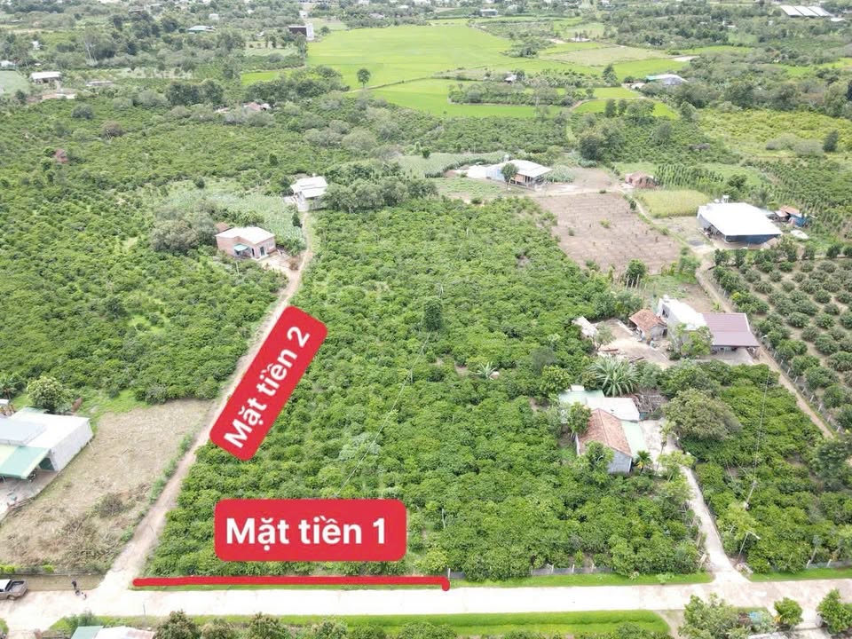 Đất nền 2 mặt tiền xã Ea Kly, 3175.2m² giá chỉ 1.888 tỷ - Cơ hội đầu tư tuyệt vời!