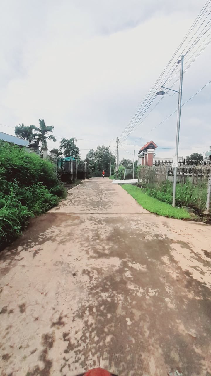 Nhà cấp 4 tại khu phố 6, xã Trị An, 810m² giá 2 tỷ - Đường nhựa rộng rãi!