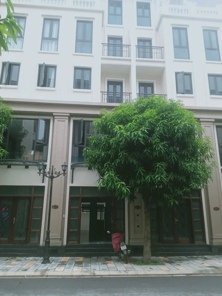 Nhà nguyên căn Winhomer Ocean Park 3, Văn Giang, Hưng Yên, 60m² - Cho thuê lâu dài chỉ 17 triệu!