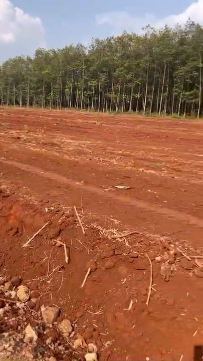 Đất thổ cư Minh Tâm, Hớn Quản, 275m² giá chỉ 200 triệu - Cơ hội không thể bỏ lỡ!