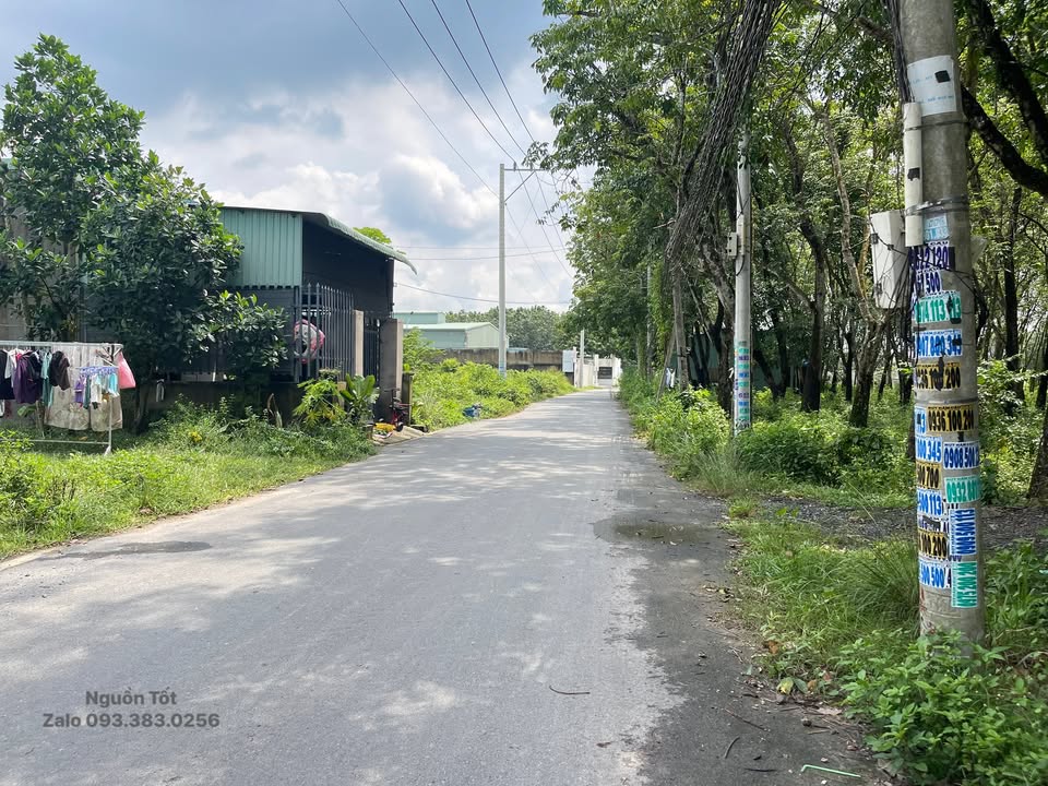 Đất nền Hòa Lợi Thủ Dầu Một 725m² giá 3.2 tỷ - Đầu tư sinh lời ngay!