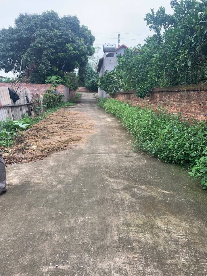 Đất nền Tân An, Quế Võ 165m² giá 1.1 tỷ - Đầu tư thông minh cho tương lai!