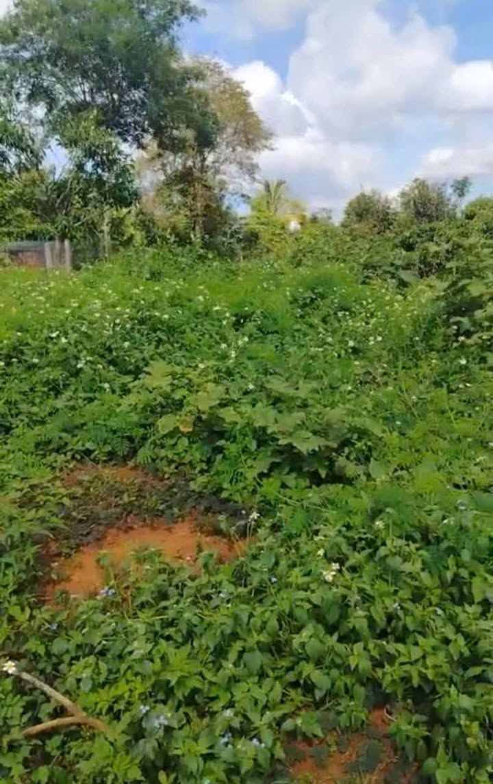 Đất nền xã Pơng Drang, Krong Buk, Đắk Lắk 400m² giá 738 triệu - Đầu tư sinh lời ngay!