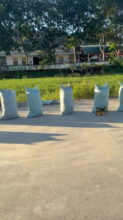 Đất nền liền kề Thôn Thọ Vực, Ninh Khang 175m² giá 900 triệu - Sổ hồng chính chủ!