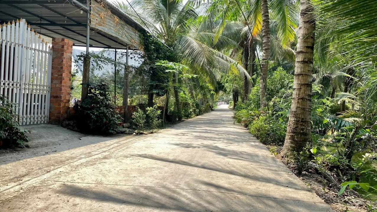 Đất thổ cư 200m² xã Tân Phú, giá 300 triệu - Đường ô tô vào tận nơi!