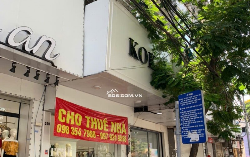 Nhà mặt phố Cầu Giấy 40m² giá 50 triệu - Vị trí kinh doanh đắc địa!