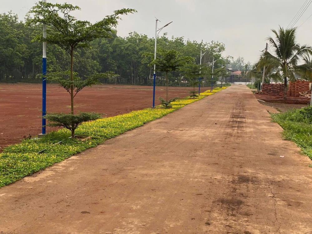 Đất nền sổ hồng Long Hà, Phú Riềng 194.5m² giá 390 triệu - Cơ hội đầu tư vàng!