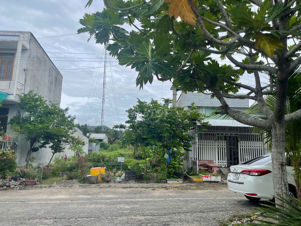 Đất thổ cư Tân Lợi 72,9m² giá 350 triệu - Đối diện chợ Tân Lợi, xe hơi tới nơi!