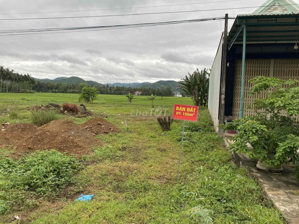 Đất thổ cư thôn Phú Thuận, Hoài Ân 155m² giá 970 triệu - Đầu tư sinh lời ngay!