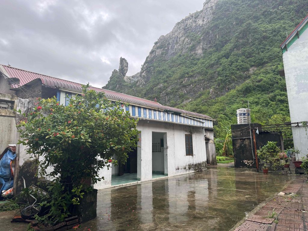 Nhà riêng Đường 21A, Xã Trần Phú, Chương Mỹ 492m² giá 4 tỷ - Pháp lý đầy đủ, sẵn sàng ở ngay!