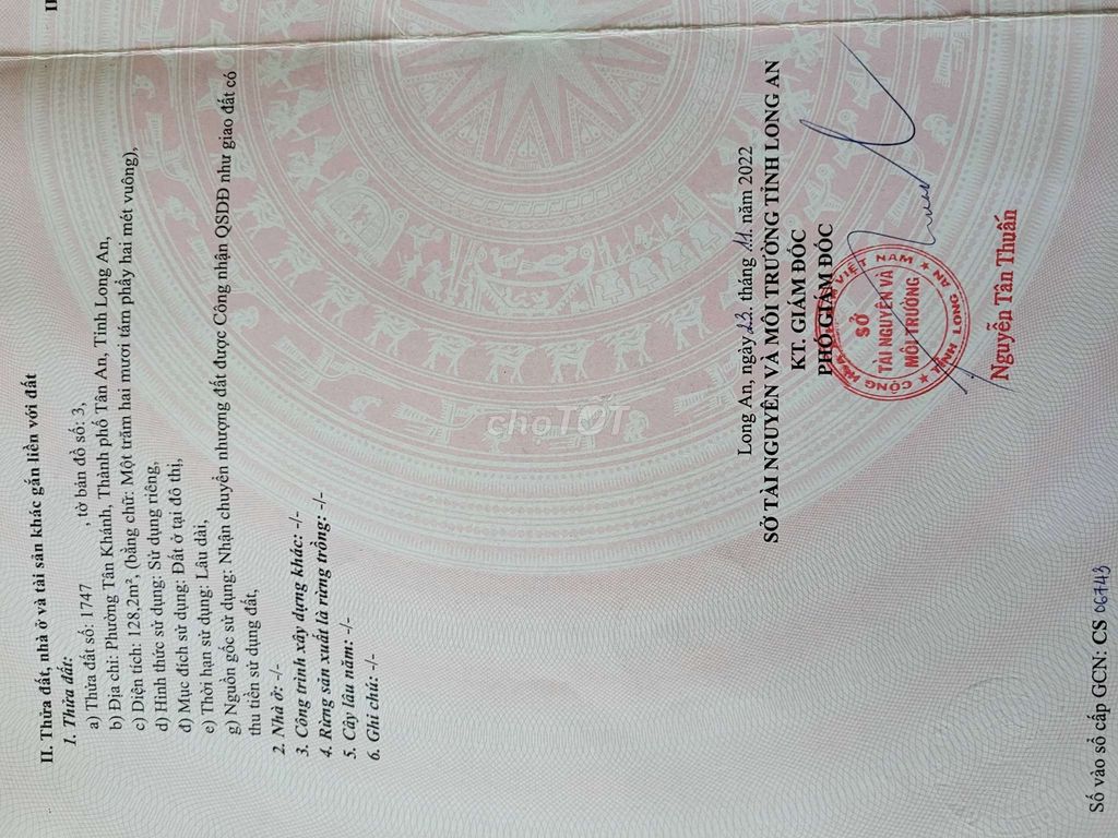 Đất thổ cư chính chủ Tân An 128m² giá chỉ 600 triệu - Nguyên trạng đẹp