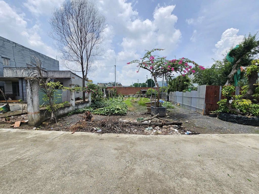 Đất nền CHDV 246m² tại Trường Thọ, Thủ Đức - Giá chỉ 59 triệu/m² - Cơ hội đầu tư hấp dẫn!