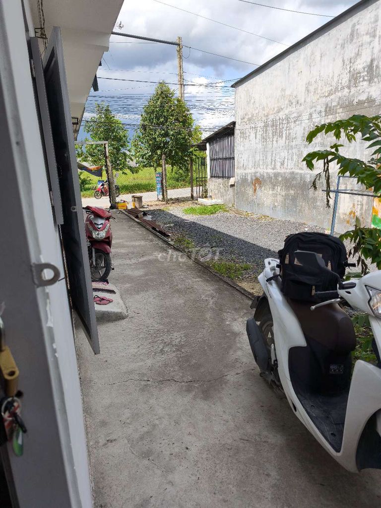 Phòng cho thuê tại Chợ Đình, Mỹ Hạnh Nam, Đức Hòa - Giá chỉ 2 triệu/tháng