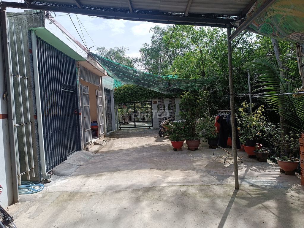 Nhà nguyên căn gác lửng tại đường Nguyễn Huệ, Bến Tre - Giá chỉ 1,8 triệu/tháng!