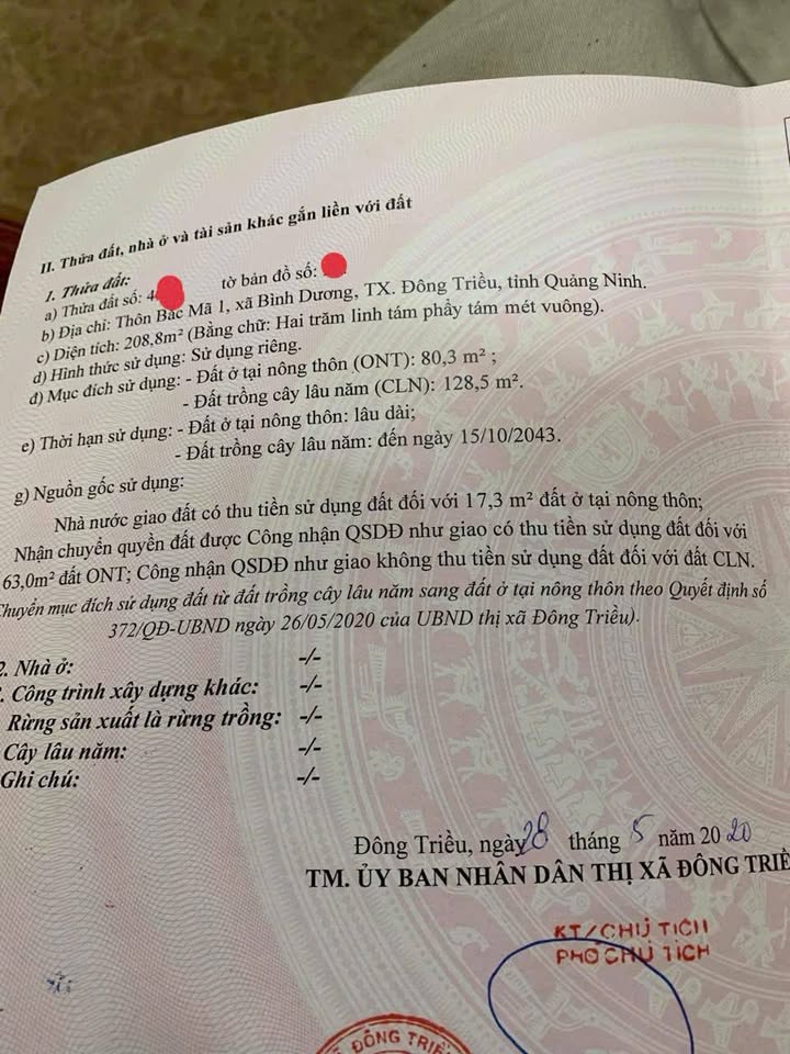 Đất nền kinh doanh tại Bắc Mã 1, An Sinh, 208m² giá 2.3 tỷ - Tiềm năng đầu tư lớn!