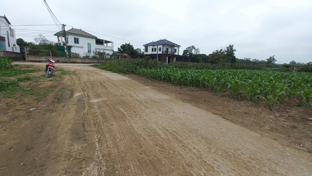 Đất nền Nghi Thái, Nghi Lộc 121m² giá 1.8 tỷ - Đầu tư sinh lời ngay!