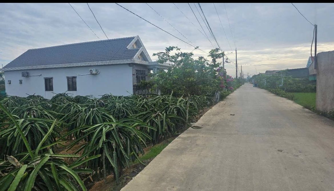 Đất nền 150m² tại Tân Bình, Tân Trụ, Long An - Giá chỉ 950 triệu, cơ hội vàng đầu tư!