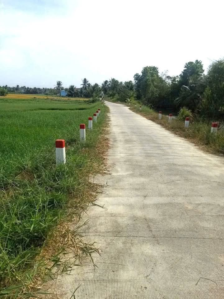 Bán đất ruộng Tân Xuân, Ba Tri, Bến Tre 25000m² - Giá chỉ 185 triệu!