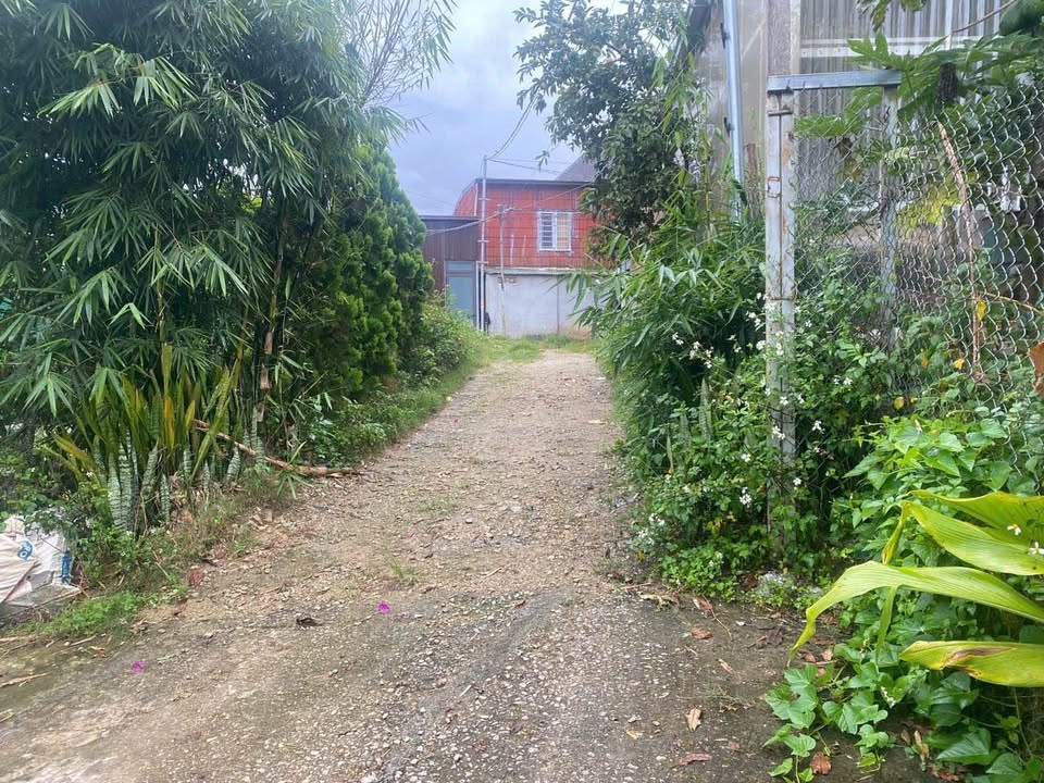 Đất nền đường Cao Thắng, Lang Biang, Đà Lạt 125m² giá 1.6 tỷ - Cơ hội đầu tư hấp dẫn!