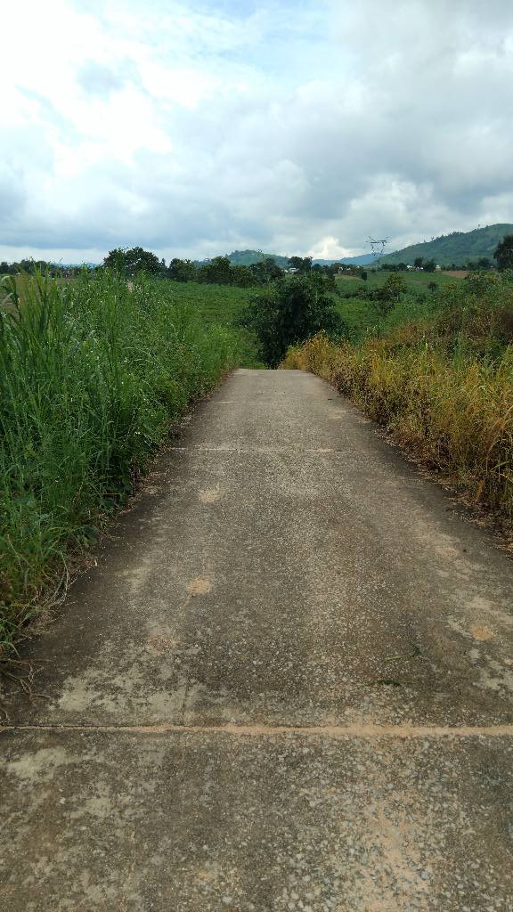 Farm thôn 11 Đắk Ruồng, Kon Rẫy 1ha - Đường bê tông đến nơi!