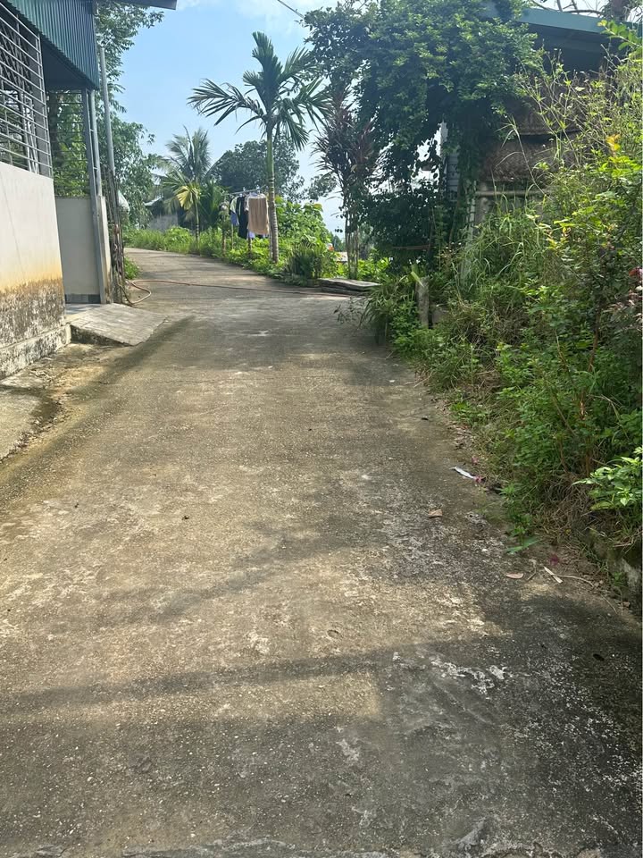 Đất nền Tổ 10 An Tường 133m² giá 760 triệu - Vị trí cao, không lo ngập lụt!