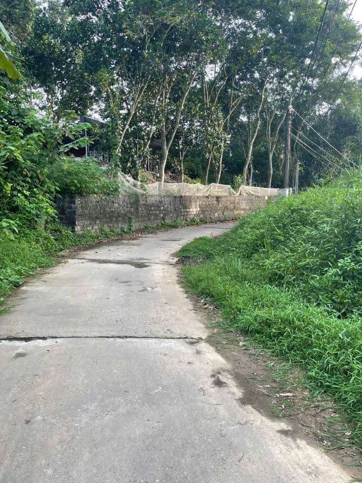 Đất nền 10 phường Nông Tiến 120m² giá 800 triệu - Hướng Tây, không lo ngập lụt!