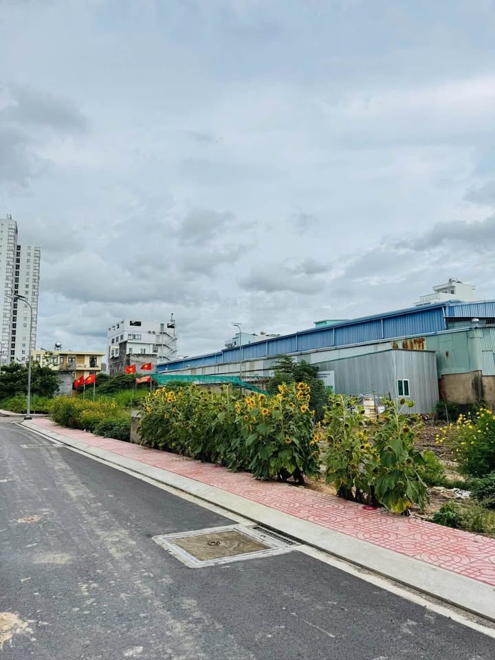 Bán đất hẻm xe tải đường An Dương Vương Bình Tân 50m² giá nhỉnh 4 tỷ - Vị trí cực đẹp!