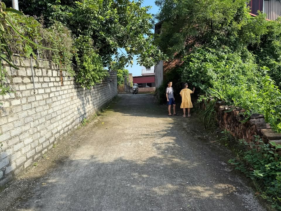 Đất nền Yên Tập, Yên Lư 132m² giá chỉ 1.x tỷ - Sổ đỏ chính chủ