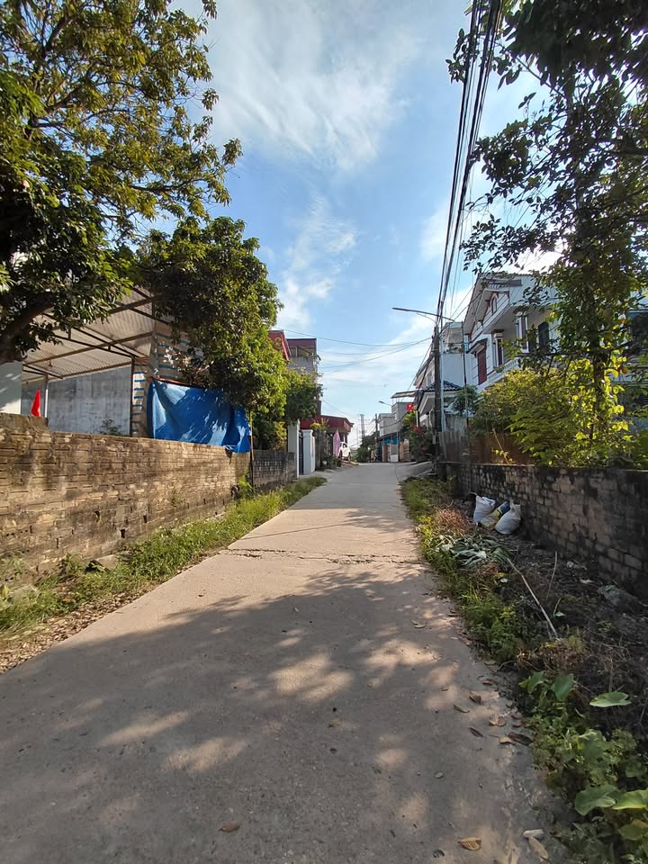 Đất nền Yên Ninh 95m² giá 1.3 tỷ - Vị trí trung tâm thuận tiện