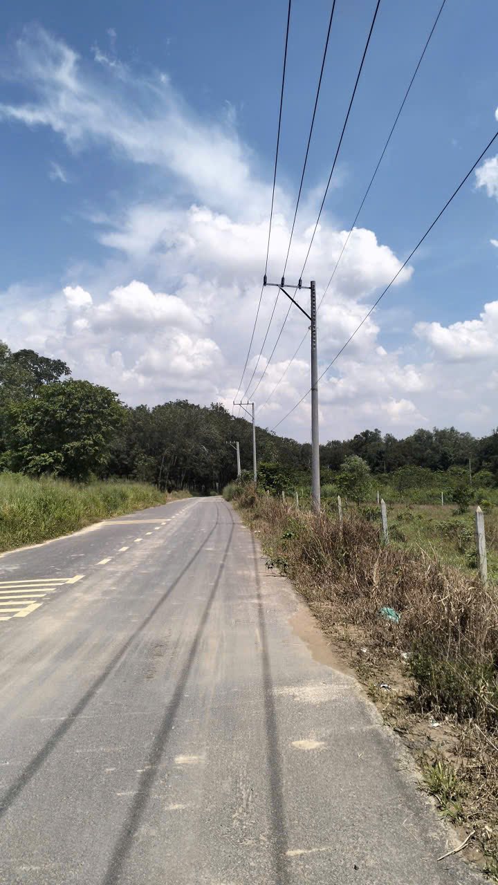 Đất xây dựng xưởng 2200m² phường Tân Hiệp, Tân Uyên giá 10.125 tỷ - Cơ hội đầu tư hấp dẫn!