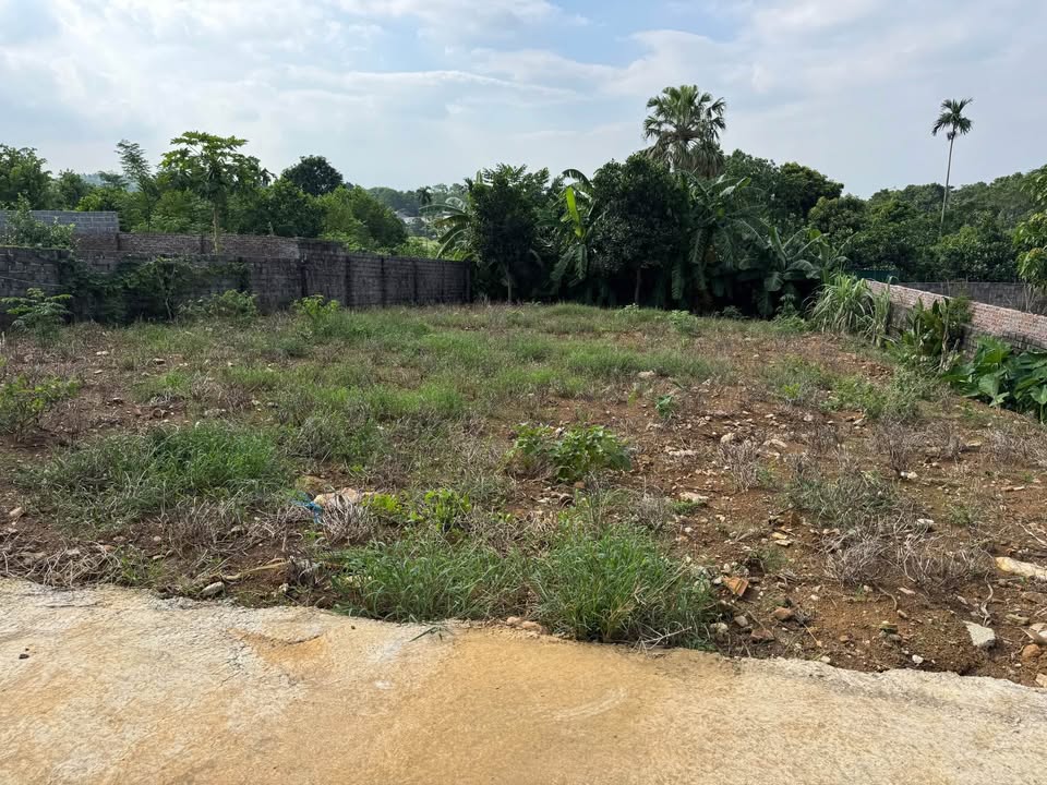 Đất ở Suối Hai, Ba Vì 496m² giá 2.1 tỷ - Khu dân cư đông đúc!