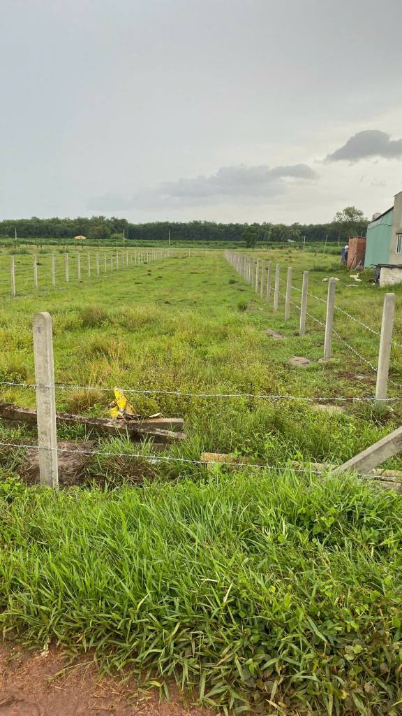 Đất ở Tân Hưng Tân Châu 1067.34m² giá 22 triệu/m² - Cơ hội đầu tư tuyệt vời!