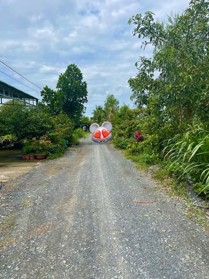 Đất nền liền kề Ấp Thạnh Lợi 227m² giá 480 triệu - Sổ đỏ chính chủ