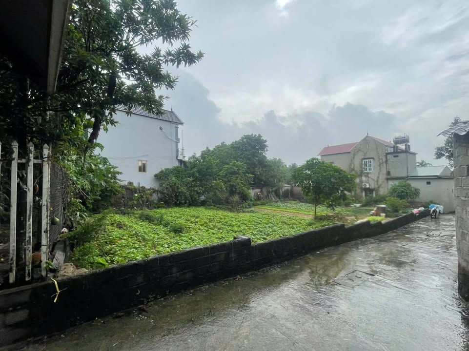 Đất nền Phú Nghĩa 203m² giá đầu tư - Sổ đỏ chính chủ, ô tô vào tận nơi!