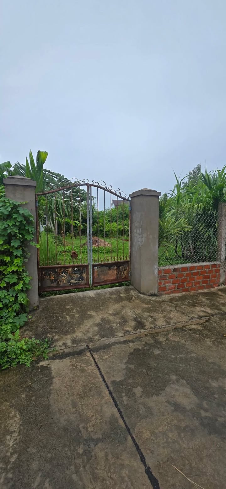 Đất nền Phước Lộc Tuy Phước 150m² giá 1.2 tỷ - Đầu tư sinh lời bền vững!