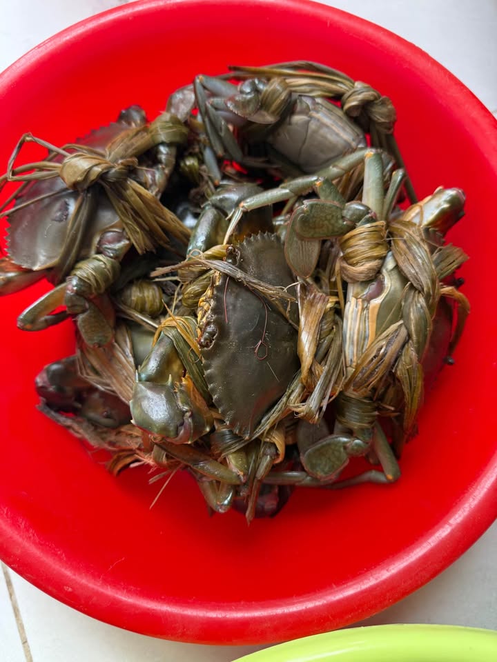 Đất ruộng Phước Hiệp 800m² giá 130 triệu - Gần đường bê tông thuận lợi!