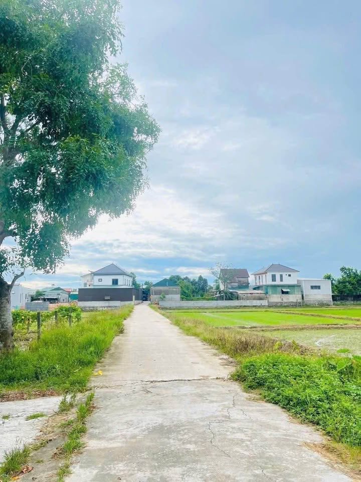 Đất nền Tân Hòa, Thạch Hà 115.5m² giá 700 triệu - Đầu tư sinh lời ngay!