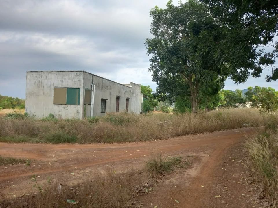 Đất thổ cư Tân Nghĩa 206m² giá chỉ 450 triệu - Cơ hội đầu tư tuyệt vời!