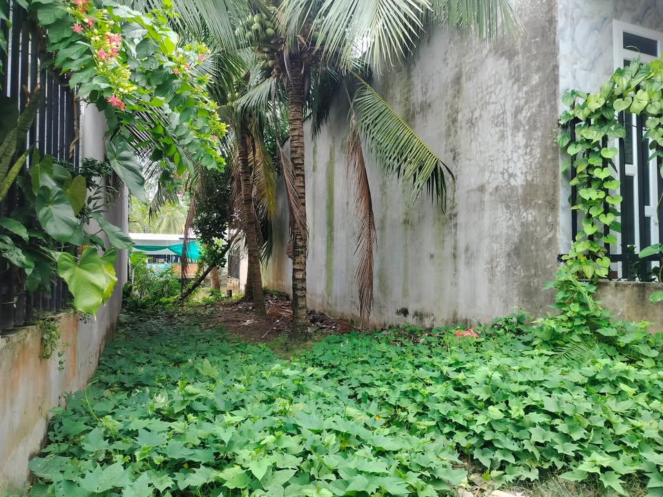 Đất nền Phú Thứ, Cái Răng, 60m² giá 200 triệu - Cơ hội đầu tư lý tưởng!