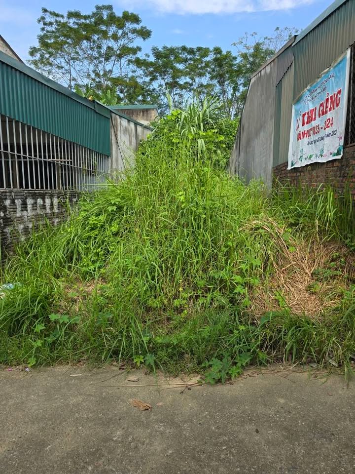 Đất nền tổ 10 An Tường 133.3m² giá 700 triệu - Vị trí cao không ngập lụt!